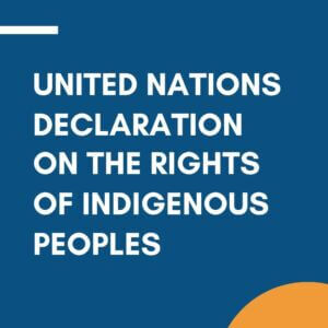 United-Nations-Declaration-of-Indigenous-People United Nations Declaration of Indigenous People
