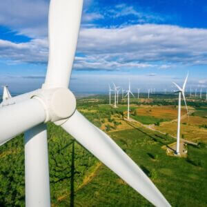 wind farm