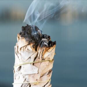 Smudging Ritual using burning thick leafy bundle of White Sage